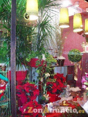 FLORISTERIA